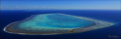 Wistari Reef - QLD (PBH4 00 18453)